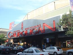 Caupolican
