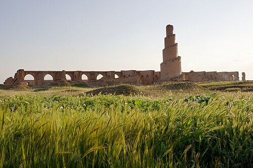 Al-Mutawakkil